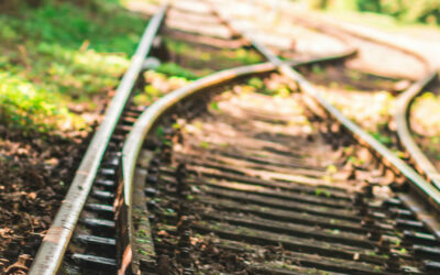 Regulating Negative Emotions 