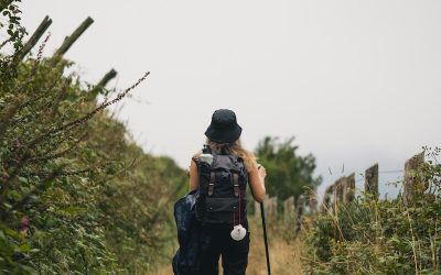 Appreciating Your Journey 